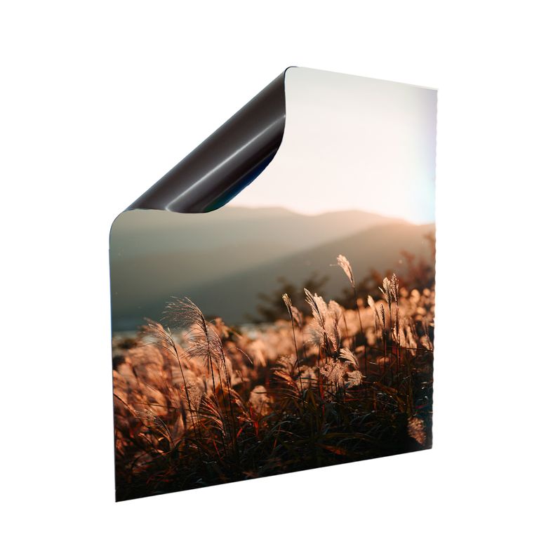 Stromkasten Magnet Bild Deko Stromverteiler Sicherungskasten Hager Motiv Natur
