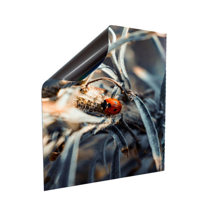 Stromkasten Magnet Bild Deko Stromverteiler Sicherungskasten Motiv Marienkäfer