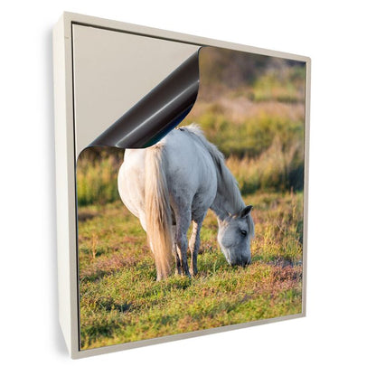 Stromkasten Magnet Bild Deko Stromverteiler Sicherungskasten Hager Motiv Pferd