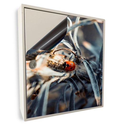 Stromkasten Magnet Bild Deko Stromverteiler Sicherungskasten Motiv Marienkäfer