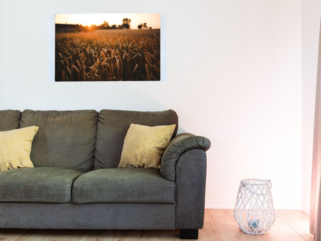 Magnetfolie Einzelbild - Hochwertiger Digitaldruck auf Magnetfolie Motiv Feld