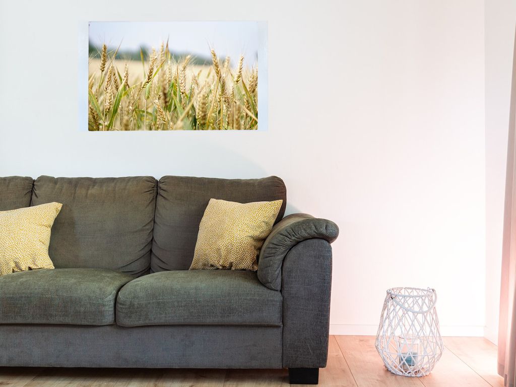 Magnetfolie Einzelbild - Hochwertiger Digitaldruck auf Magnetfolie Motiv Weizen