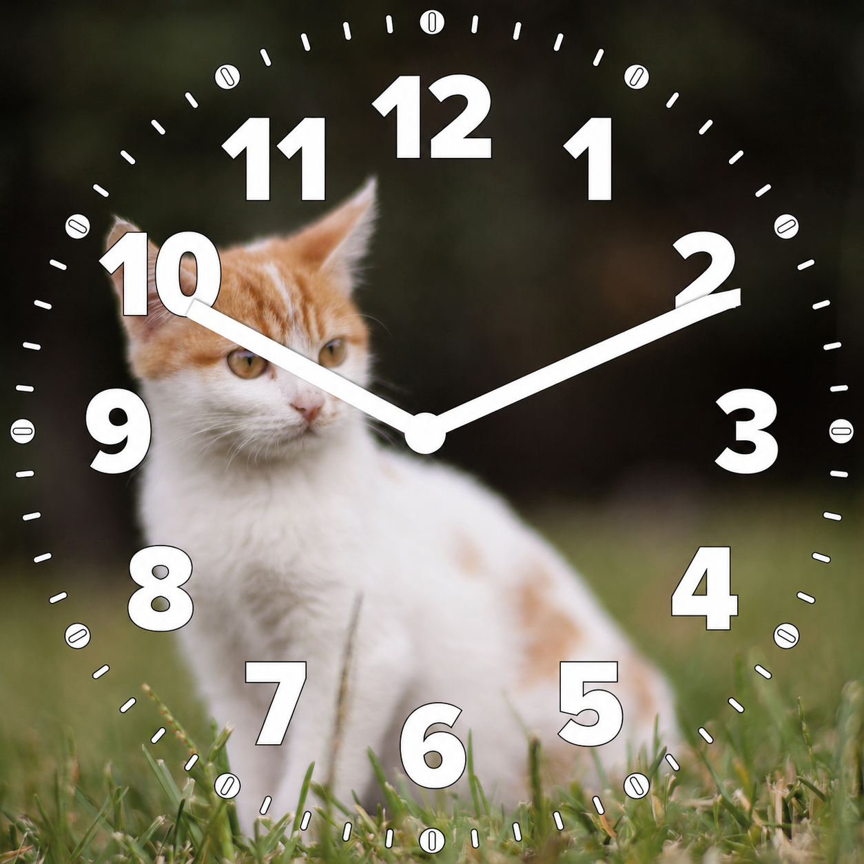 Hochwertige 30cm-Uhren Made in Alzenau Lautlose Uhr MDF Acryl Katze im Grünen