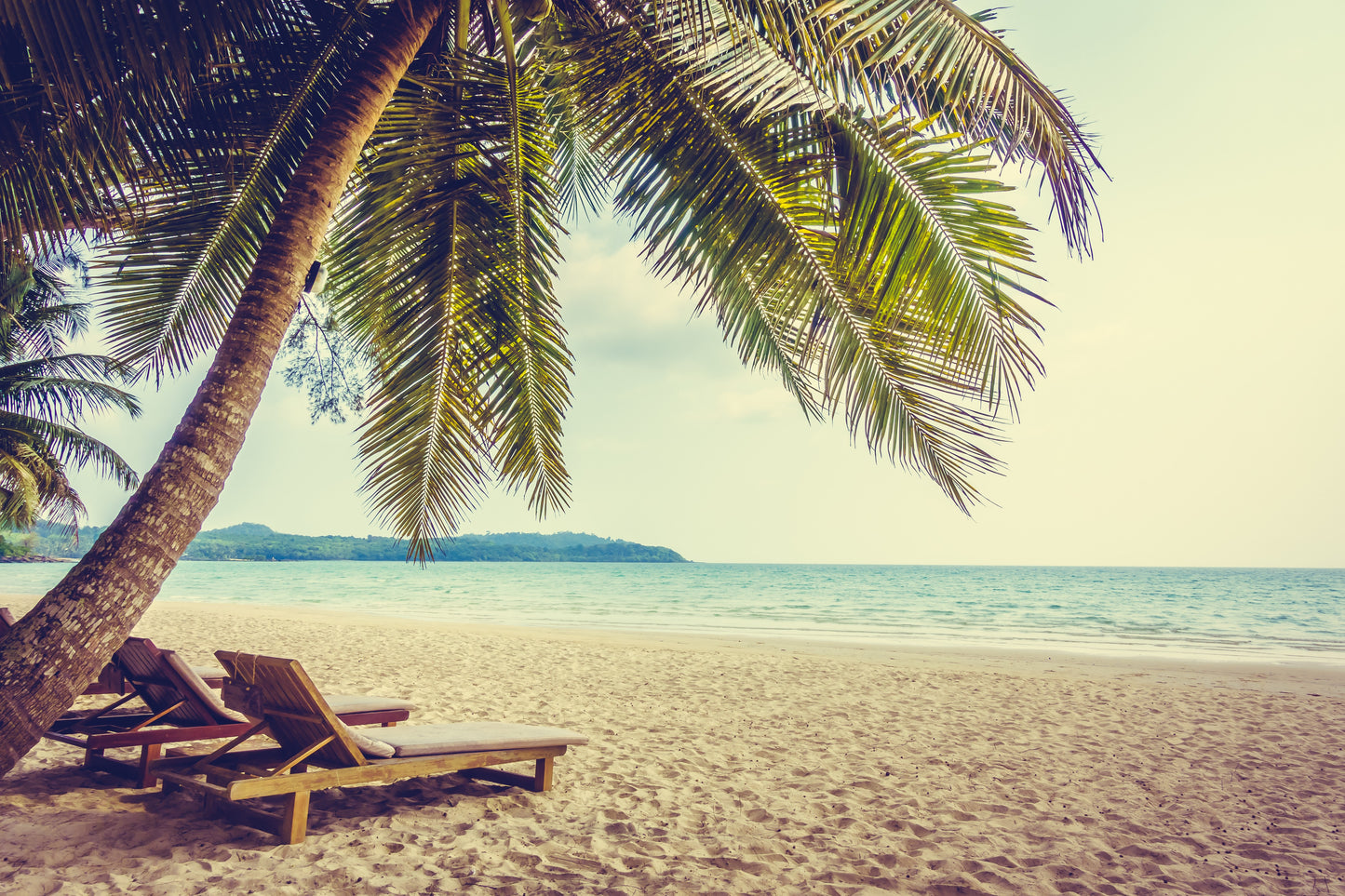 Flaches Druckmotiv Caribbean Dreams für Heizkörperverkleidung