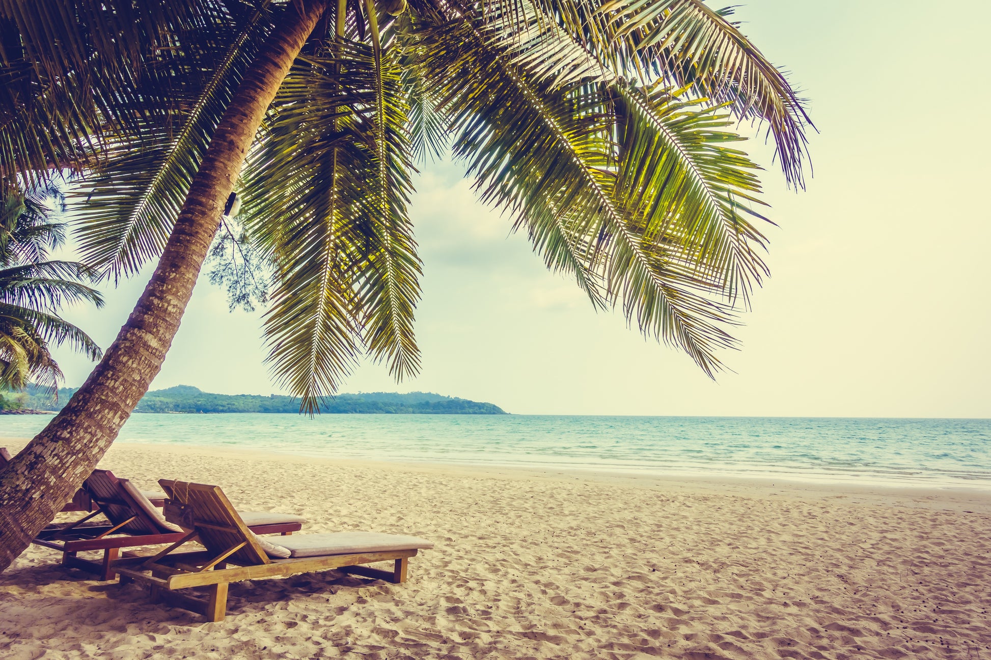 Flaches Druckmotiv Caribbean Dreams für Heizkörperverkleidung