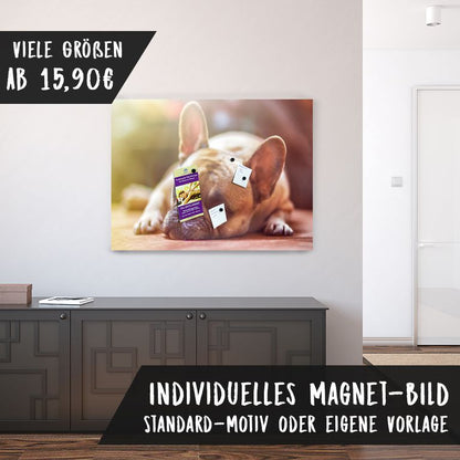 Magnetfolie Einzelbild - Hochwertiger Digitaldruck auf Magnetfolie Motiv Hund