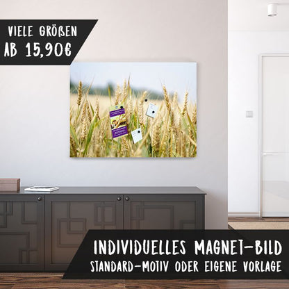 Magnetfolie Einzelbild - Hochwertiger Digitaldruck auf Magnetfolie Motiv Weizen