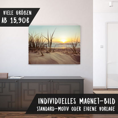 Magnetfolie Einzelbild - Hochwertiger Digitaldruck auf Magnetfolie Motiv Strandgras