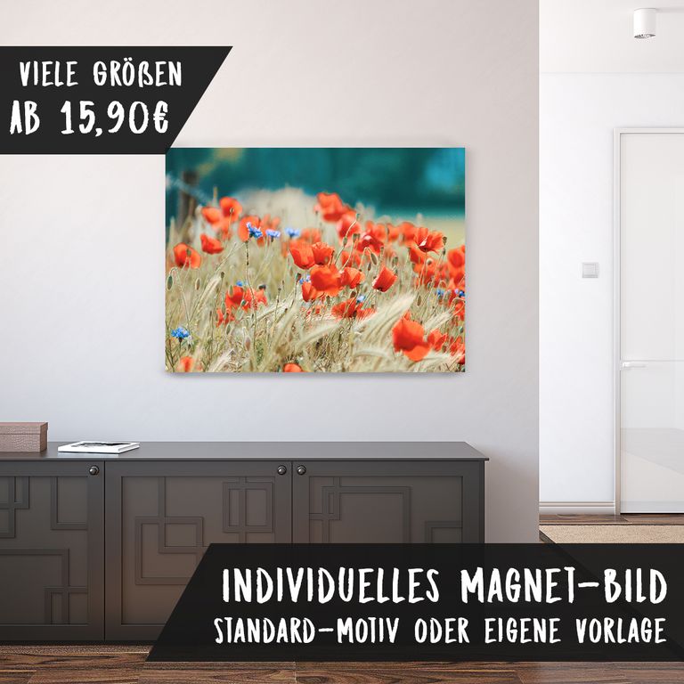 Magnetfolie Einzelbild - Hochwertiger Digitaldruck auf Magnetfolie Motiv Mohnblumen