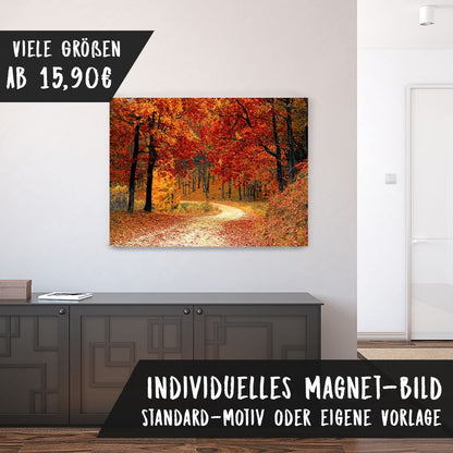 Magnetfolie Einzelbild - Hochwertiger Digitaldruck auf Magnetfolie Motiv Herbst