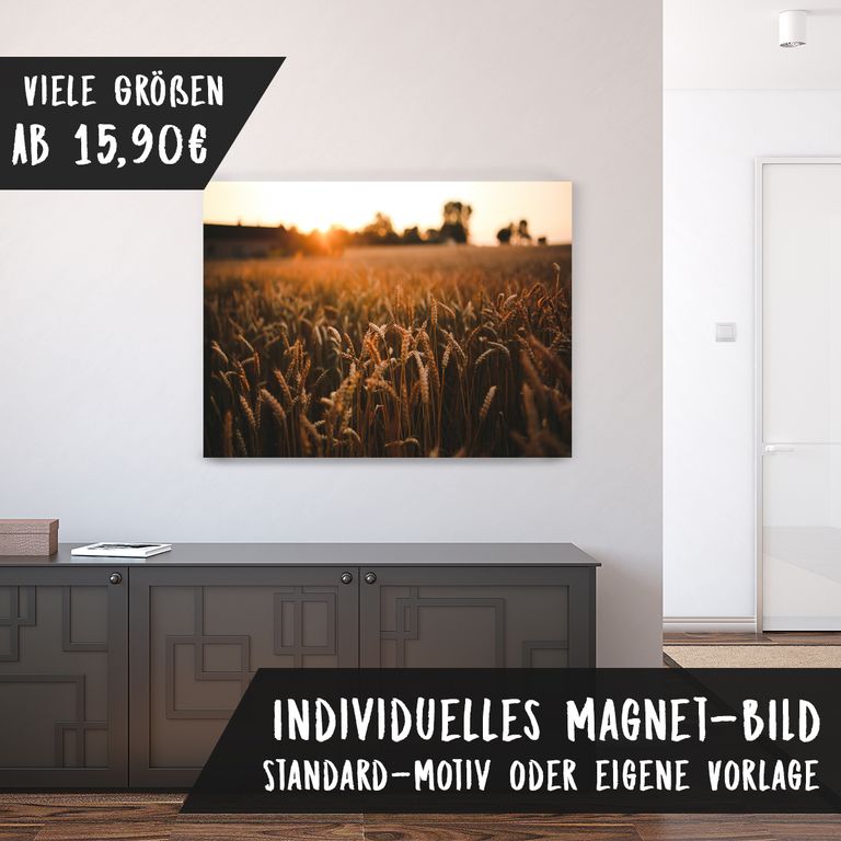 Magnetfolie Einzelbild - Hochwertiger Digitaldruck auf Magnetfolie Motiv Feld