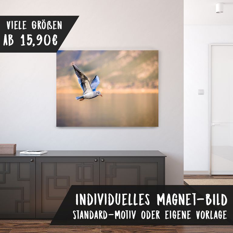 Magnetfolie Einzelbild - Hochwertiger Digitaldruck auf Magnetfolie Motiv Vogel