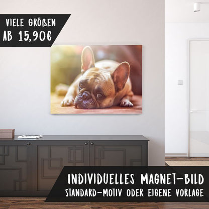 Magnetfolie Einzelbild - Hochwertiger Digitaldruck auf Magnetfolie Motiv Hund