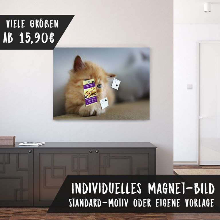Magnetfolie Einzelbild - Hochwertiger Digitaldruck auf Magnetfolie Motiv Cat