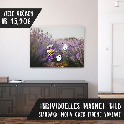 Magnetfolie Einzelbild - Hochwertiger Digitaldruck auf Magnetfolie Motiv Lavendeltraum