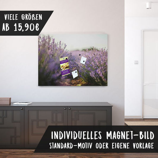 Magnetfolie Einzelbild - Hochwertiger Digitaldruck auf Magnetfolie Motiv Lavendeltraum