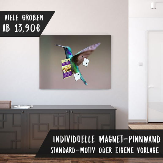 Bedruckte Magnetpinnwand Eisenfolie Whiteboard Magnetwand Motiv Kolibri