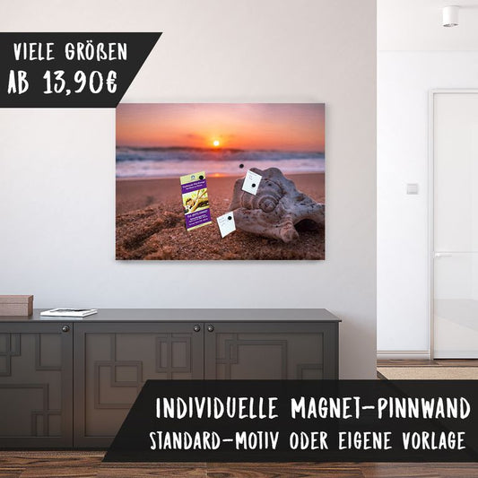 Bedruckte Magnetpinnwand Eisenfolie Whiteboard Magnetwand Motiv Muschel