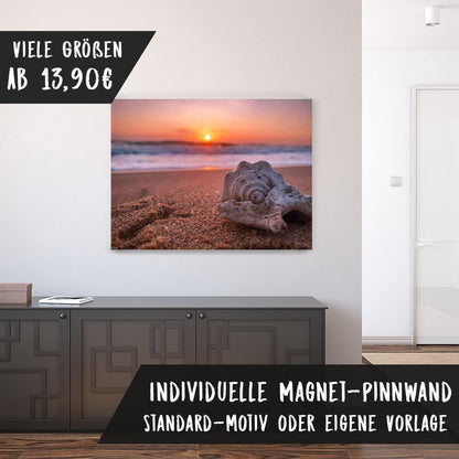 Bedruckte Magnetpinnwand Eisenfolie Whiteboard Magnetwand Motiv Muschel