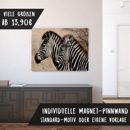 Bedruckte Magnetpinnwand Eisenfolie Whiteboard Magnetwand Motiv Zebra