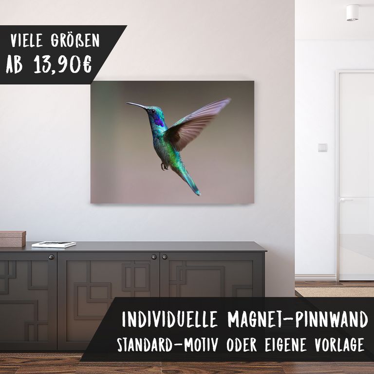 Bedruckte Magnetpinnwand Eisenfolie Whiteboard Magnetwand Motiv Kolibri