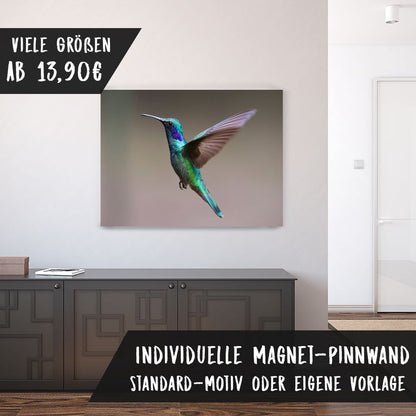 Bedruckte Magnetpinnwand Eisenfolie Whiteboard Magnetwand Motiv Kolibri