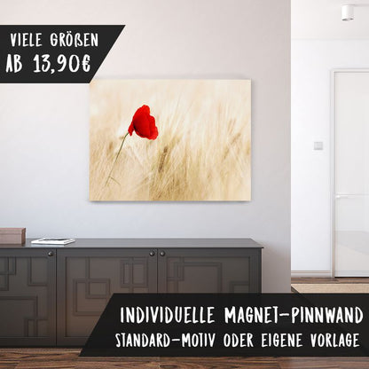 Bedruckte Magnetpinnwand Eisenfolie Whiteboard Magnetwand Motiv Mohnblume