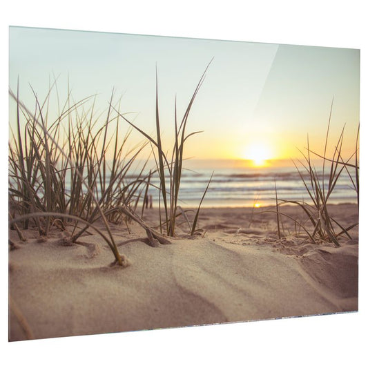 Bedrucktes Acrylglas als Magnetwand, Küchen-Hintergrund, Motiv Strandgras