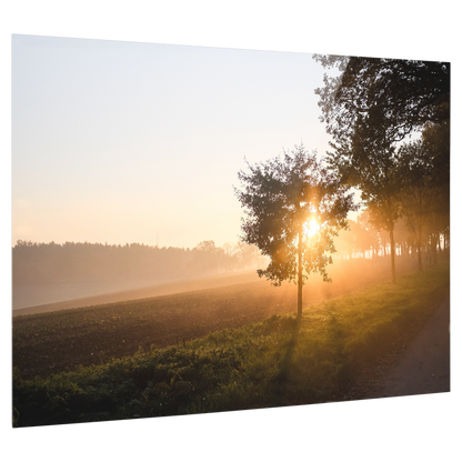 Bedrucktes Acrylglas als Magnetwand, Küchen-Hintergrund, Motiv: Sonnenuntergang
