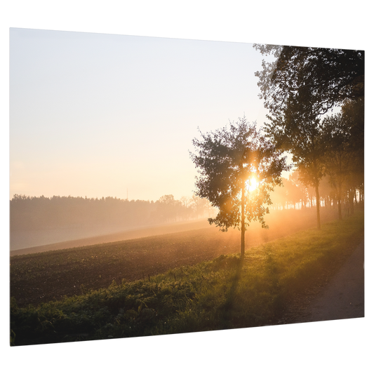 Bedrucktes Acrylglas als Magnetwand, Küchen-Hintergrund, Motiv: Sonnenuntergang