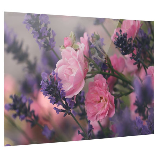 Bedrucktes Acrylglas als Magnetwand, Küchen-Hintergrund, Motiv Lavendelstrauß