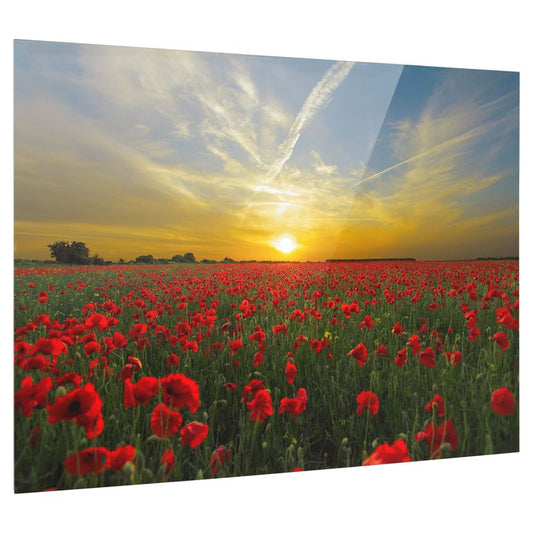 Bedrucktes Acrylglas als Magnetwand, Küchen-Hintergrund, Motiv Sonnenuntergang