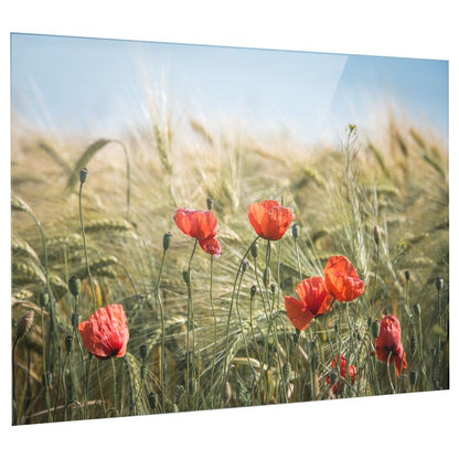 Bedrucktes Acrylglas als Magnetwand, Küchen-Hintergrund, Motiv Mohnblumen
