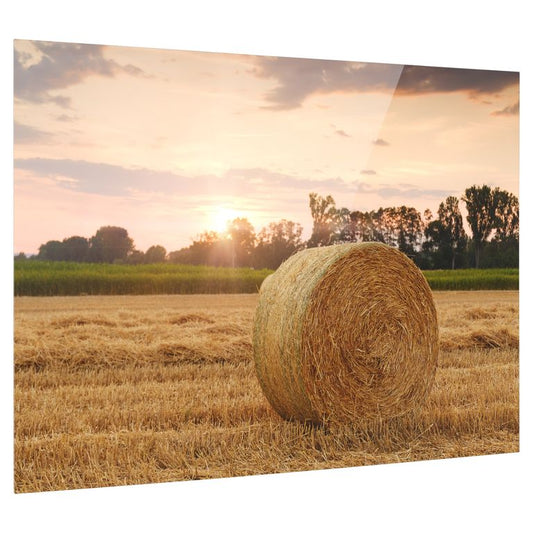 Bedrucktes Acrylglas als Magnetwand, Küchen-Hintergrund, Motiv Heuballen