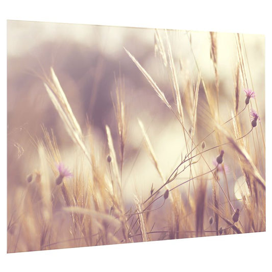 Bedrucktes Acrylglas als Magnetwand, Küchen-Hintergrund, Motiv Weizenfeld