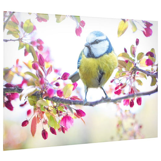 Bedrucktes Acrylglas als Magnetwand, Küchen-Hintergrund, Motiv Bird