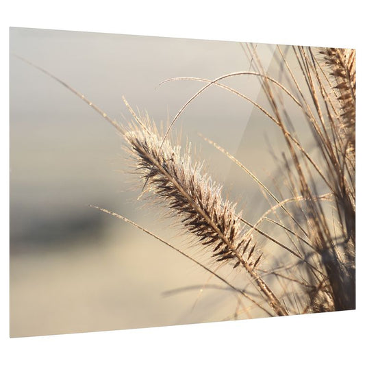 Bedrucktes Acrylglas als Magnetwand, Küchen-Hintergrund, Motiv Grass