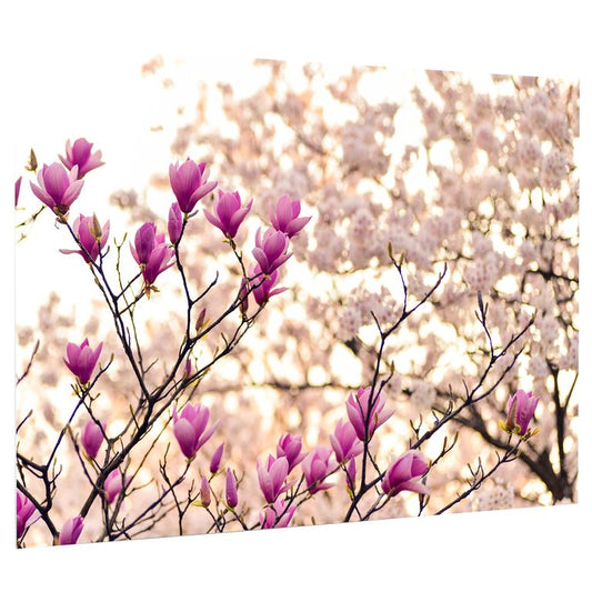 Bedrucktes Acrylglas als Magnetwand, Küchen-Hintergrund, Motiv Magnolia