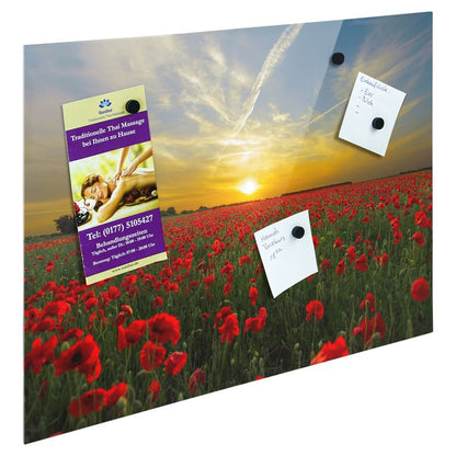 Bedrucktes Acrylglas als Magnetwand, Küchen-Hintergrund, Motiv Sonnenuntergang