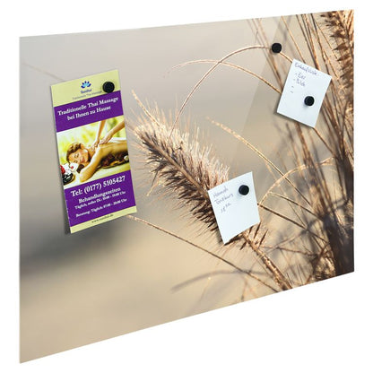 Bedrucktes Acrylglas als Magnetwand, Küchen-Hintergrund, Motiv Grass