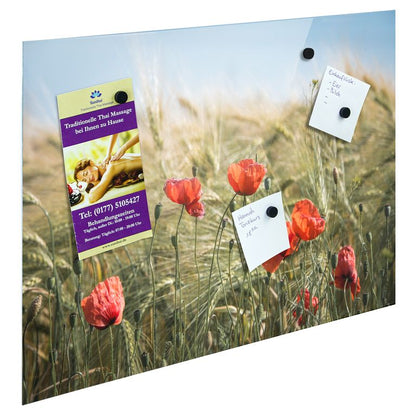 Bedrucktes Acrylglas als Magnetwand, Küchen-Hintergrund, Motiv Mohnblumen