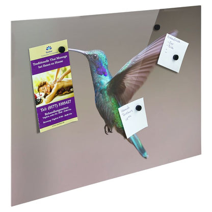 Bedrucktes Acrylglas als Magnetwand, Küchen-Hintergrund, Motiv Kolibri