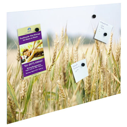 Bedrucktes Acrylglas als Magnetwand, Küchen-Hintergrund, Motiv Weizen