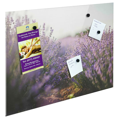 Bedrucktes Acrylglas als Magnetwand, Küchen-Hintergrund, Motiv Lavendelfeld