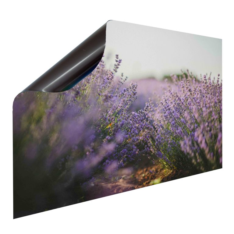 Magnetfolie Einzelbild - Hochwertiger Digitaldruck auf Magnetfolie Motiv Lavendeltraum