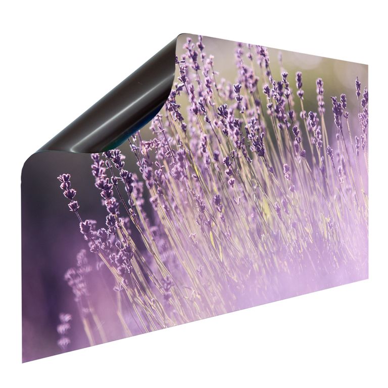 Magnetfolie Einzelbild - Hochwertiger Digitaldruck auf Magnetfolie Motiv Lavendel