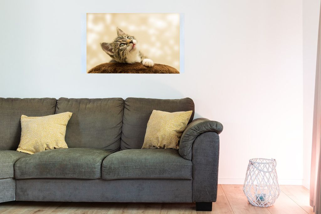Bedruckte Magnetpinnwand Eisenfolie Whiteboard Magnetwand Motiv Katze