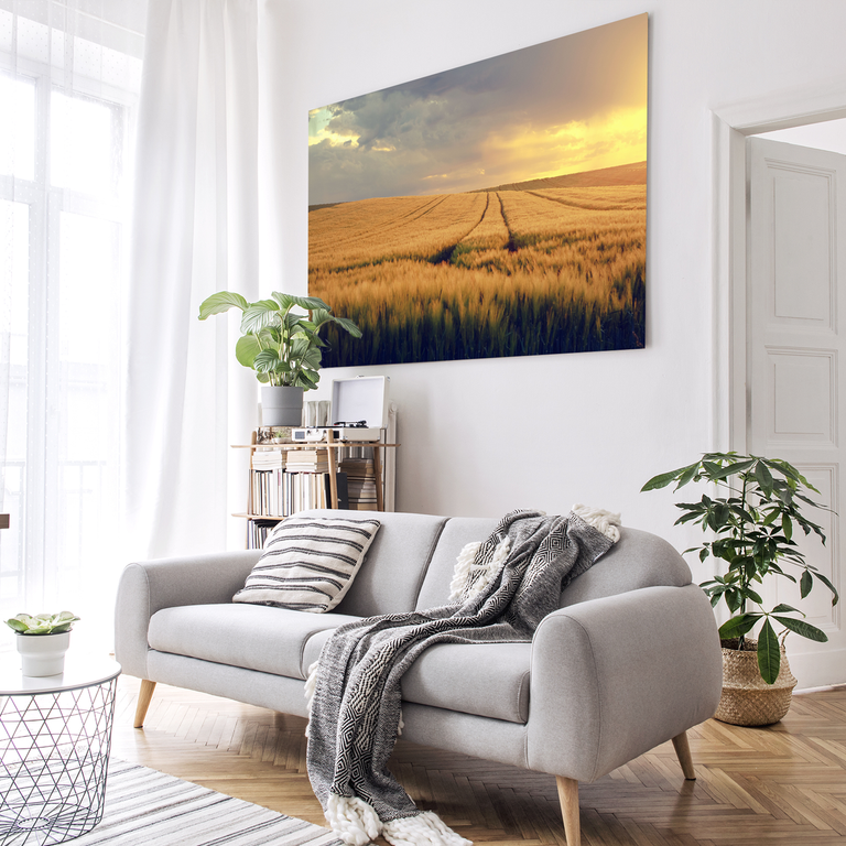 Bedrucktes Acrylglas als Magnetwand, Küchen-Hintergrund, Motiv: Getreidefeld