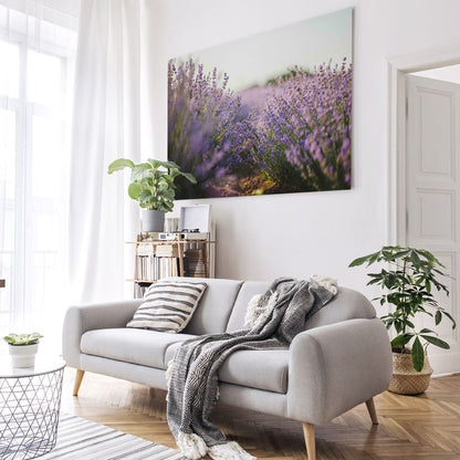Bedrucktes Acrylglas als Magnetwand, Küchen-Hintergrund, Motiv Lavendelfeld