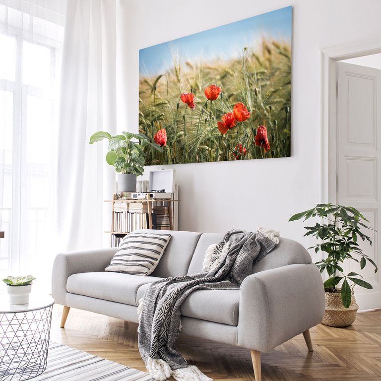 Bedrucktes Acrylglas als Magnetwand, Küchen-Hintergrund, Motiv Mohnblumen
